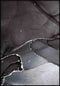 Ciemne Niebo Lewy Srebrny Plakat 50x70cm